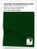 Artikelbild 1 des Artikels “PANTONE® POLYESTER SWATCH CARD 16-6264 TSX Green Spring “