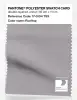 Product image 1 of the product “PANTONE® POLYESTER SWATCH CARD 17-0104 TSX Rooftop ”