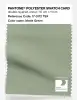 Artikelbild 1 des Artikels “PANTONE® POLYESTER SWATCH CARD 17-0112 TSX Matte Green “