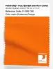 Artikelbild 1 des Artikels “PANTONE® POLYESTER SWATCH CARD 17-1363 TSX Exuberant Orange “