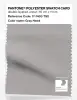 Product image 1 of the product “PANTONE® POLYESTER SWATCH CARD 17-1403 TSX Gray Hawk ”