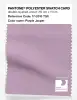 Artikelbild 1 des Artikels “PANTONE® POLYESTER SWATCH CARD 17-3316 TSX Purple Jasper “