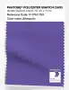 Product image 1 of the product “PANTONE® POLYESTER SWATCH CARD 17-3763 TSX Afterparty ”