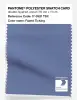 Artikelbild 1 des Artikels “PANTONE® POLYESTER SWATCH CARD 17-3921 TSX Faded Ticking “