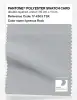 Artikelbild 1 des Artikels “PANTONE® POLYESTER SWATCH CARD 17-4303 TSX Igneous Rock “