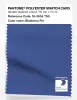 Product image 1 of the product “PANTONE® POLYESTER SWATCH CARD 18-3934 TSX Blueberry Pie ”