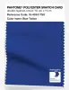 Artikelbild 1 des Artikels “PANTONE® POLYESTER SWATCH CARD 18-4063 TSX Blue Tattoo “