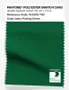Product image 1 of the product “PANTONE® POLYESTER SWATCH CARD 18-6032 TSX Putting Green ”