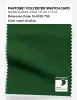 Artikelbild 1 des Artikels “PANTONE® POLYESTER SWATCH CARD 18-6329 TSX Scallion “