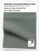 Product image 1 of the product “PANTONE® POLYESTER SWATCH CARD 19-0308 TSX Fly Fishing ”