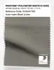 Artikelbild 1 des Artikels “PANTONE® POLYESTER SWATCH CARD 19-0504 TSX Black Lichen “