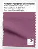 Artikelbild 1 des Artikels “PANTONE® POLYESTER SWATCH CARD 19-2223 TSX Plummed Depths “