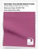 Artikelbild 1 des Artikels “PANTONE® POLYESTER SWATCH CARD 19-2537 TSX Berry Wine “