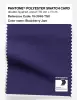 Artikelbild 1 des Artikels “PANTONE® POLYESTER SWATCH CARD 19-3949 TSX ﻿Blackberry Jam “