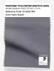Product image 1 of the product “PANTONE® POLYESTER SWATCH CARD 19-4002 TSX Basalt ”