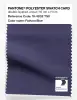 Artikelbild 1 des Artikels “PANTONE® POLYESTER SWATCH CARD 19-4032 TSX Fathom Blue “