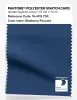 Artikelbild 1 des Artikels “PANTONE® POLYESTER SWATCH CARD 19-4119 TSX Blueberry Pancake “
