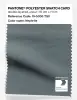 Product image 1 of the product “PANTONE® POLYESTER SWATCH CARD 19-5306 TSX Nephrite ”