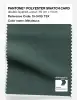 Product image 1 of the product “PANTONE® POLYESTER SWATCH CARD 19-5410 TSX Melaleuca ”