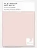 Product image 1 of the product “RAL® DESIGN D4 SINGLE SHEET A4 010 92 05 Light apricot / Hellapricot ”