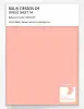 Product image 1 of the product “RAL® DESIGN D4 SINGLE SHEET A4 040 80 30 Nature apricot / Naturapricot ”