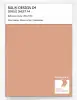 Product image 1 of the product “RAL® DESIGN D4 SINGLE SHEET A4 050 70 30 Sienna ochre / Sienaocker ”