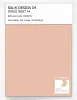 Artikelbild 1 des Artikels “RAL® DESIGN D4 SINGLE SHEET A4 050 80 20 Soft orange / Sanftorange “