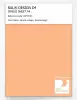 Product image 1 of the product “RAL® DESIGN D4 SINGLE SHEET A4 060 80 40 Apricot orange / Apricotorange ”