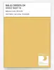 Artikelbild 1 des Artikels “RAL® DESIGN D4 SINGLE SHEET A4 085 80 50 Fruit yellow / Fruchtgelb “