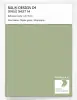 Product image 1 of the product “RAL® DESIGN D4 SINGLE SHEET A4 120 70 20 Filigree green / Filigrangrün ”