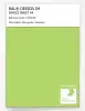 Product image 1 of the product “RAL® DESIGN D4 SINGLE SHEET A4 120 80 60 Neon green / Neongrün ”