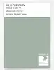 Product image 1 of the product “RAL® DESIGN D4 SINGLE SHEET A4 150 70 10 Tea green / Teegrün ”