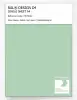 Product image 1 of the product “RAL® DESIGN D4 SINGLE SHEET A4 150 80 20 Pastel mint green / Pastellminzgrün ”
