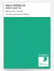 Product image 1 of the product “RAL® DESIGN D4 SINGLE SHEET A4 170 60 50 Active green / Aktivgrün ”