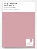 Artikelbild 1 des Artikels “RAL® DESIGN D6 SINGLE SHEET A6 010 70 20 Silver rose / Silberrosé “