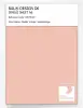 Product image 1 of the product “RAL® DESIGN D6 SINGLE SHEET A6 040 80 20 Madder orange / Krapporange ”