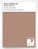 Product image 1 of the product “RAL® DESIGN D6 SINGLE SHEET A6 050 60 20 Caramel brown / Karamellbraun ”