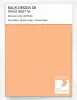 Product image 1 of the product “RAL® DESIGN D6 SINGLE SHEET A6 060 80 40 Apricot orange / Apricotorange ”