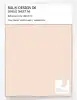 Product image 1 of the product “RAL® DESIGN D6 SINGLE SHEET A6 060 90 10 Vanilla cream / Vanillecreme ”