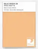 Artikelbild 1 des Artikels “RAL® DESIGN D6 SINGLE SHEET A6 070 80 40 Apricot yellow / Aprikosengelb “