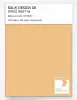 Product image 1 of the product “RAL® DESIGN D6 SINGLE SHEET A6 075 80 40 Ash yellow / Eschengelb ”