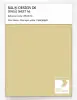 Product image 1 of the product “RAL® DESIGN D6 SINGLE SHEET A6 095 80 30 Asparagus yellow / Spargelgelb ”