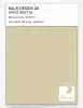 Artikelbild 1 des Artikels “RAL® DESIGN D6 SINGLE SHEET A6 100 80 20 Soft green / Weichgrün “