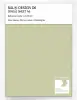 Product image 1 of the product “RAL® DESIGN D6 SINGLE SHEET A6 110 80 20 Mint ice green / Minzeisgrün ”
