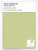 Artikelbild 1 des Artikels “RAL® DESIGN D6 SINGLE SHEET A6 110 80 30 Springtide green / Lenzgrün “