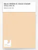 Artikelbild 1 des Artikels “RAL® EFFECT E1 SINGLE CARD 300 SERIES 310-1 “