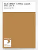 Product image 1 of the product “RAL® EFFECT E1 SINGLE CARD 300 SERIES 320-3 ”