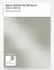 Product image 1 of the product “RAL® EFFECT E6 SINGLE CARD 200 SERIES 210-M METALLIC ”