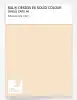 Product image 1 of the product “RAL® EFFECT E6 SINGLE SHEET 100 SERIES A6 140-5 ”