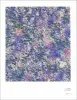 Artikelbild 2 des Artikels “Abstract Textures Vol. 1 incl. DVD “